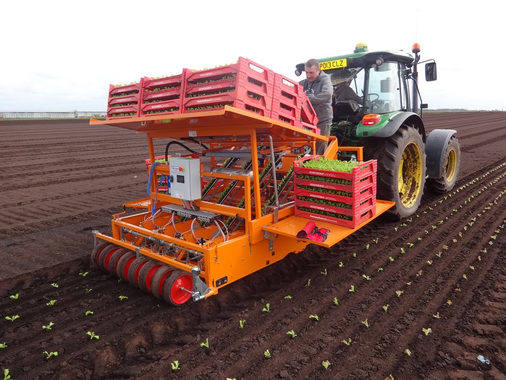 CM Regero pneumatic transplanter thumbnail image